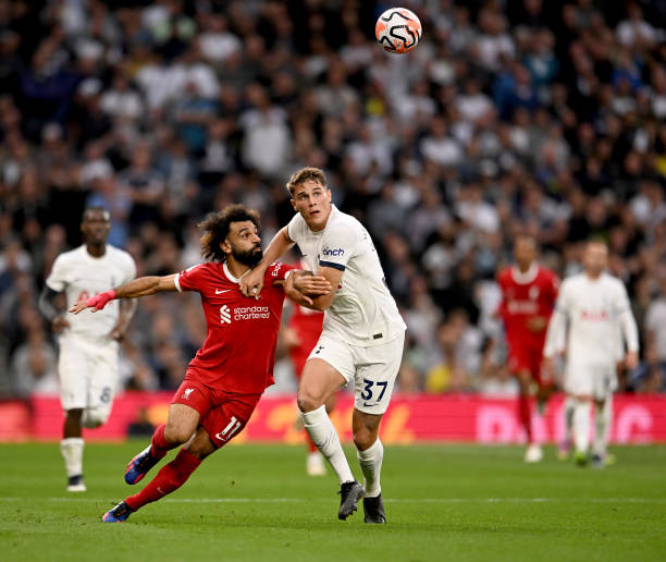 充分发挥自 充分发挥自